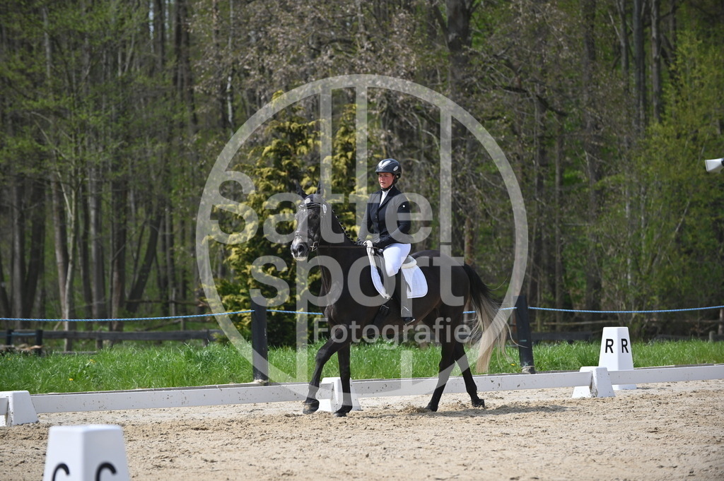 DSC_3050 | sattelsport - Realisiert mit Pictrs.com