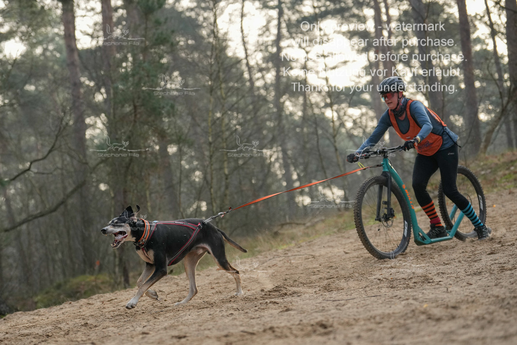 Scooter1-126 | stephaniefillaphotographie - Realisiert mit Pictrs.com