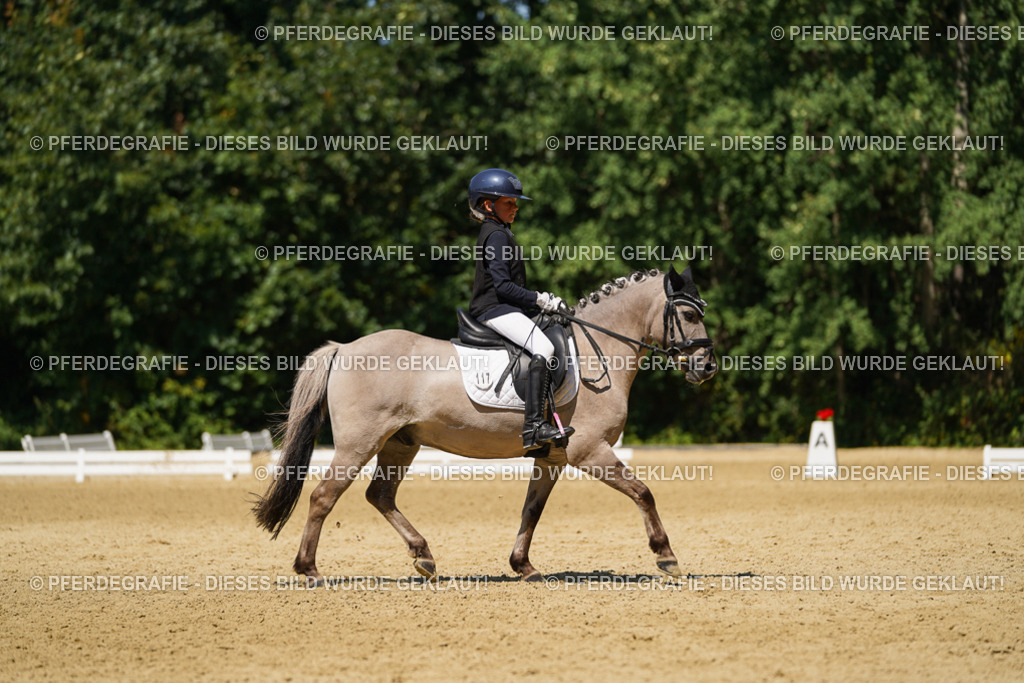 DSC05741 | Pferdegrafie