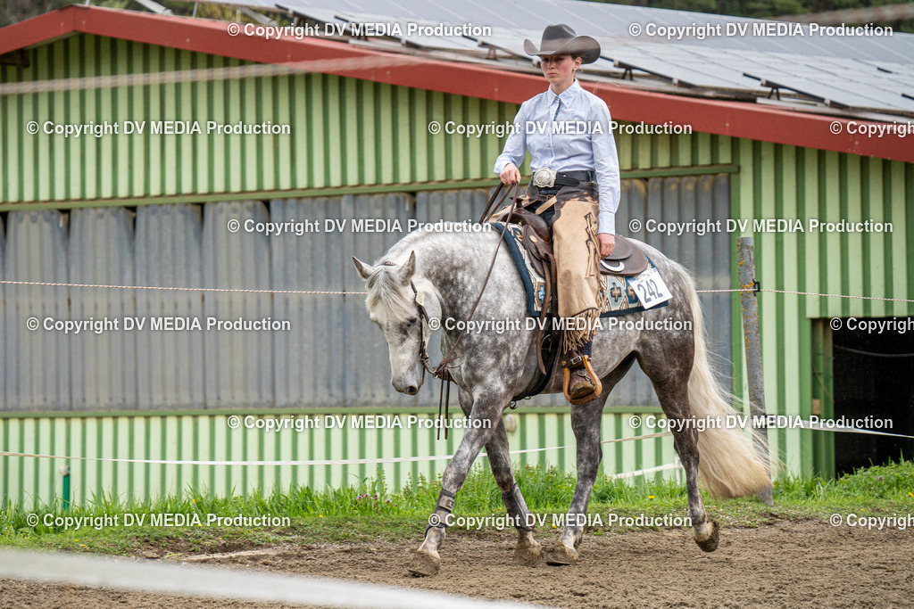 BAL00824 | dv-media-shop - Realisiert mit Pictrs.com