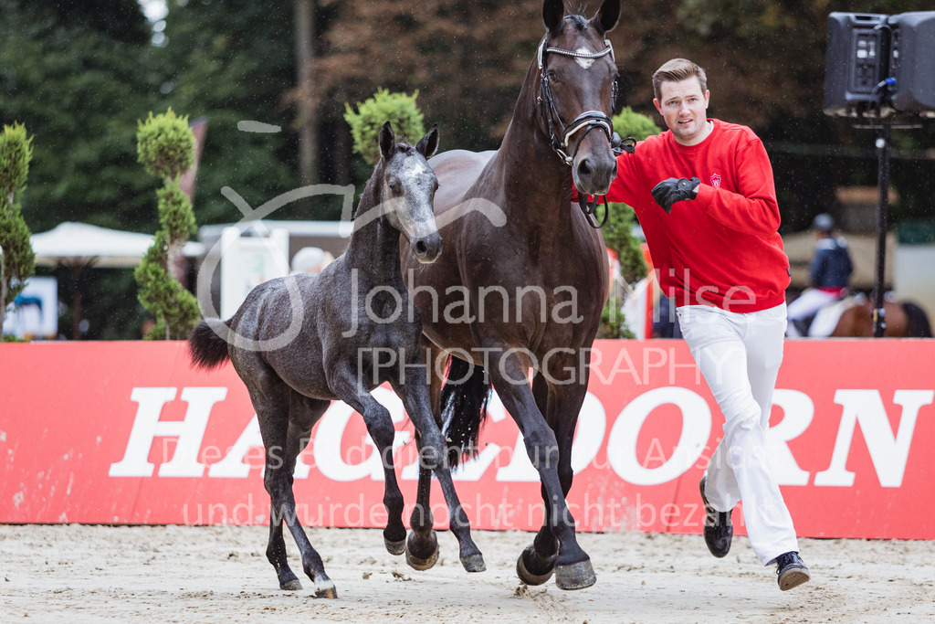 220910_OWLCh_Fohlen-312 | Deine schönsten Turniermomente als professionelle Fotos! Entdecke hochwertige Pferdesport-Fotografie im Online-Shop. Jetzt Fotos finden & bestellen!