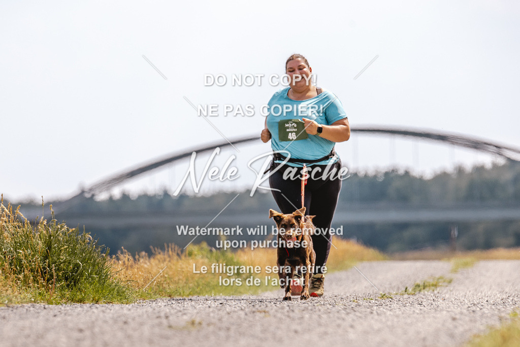 BUHU_CC_154 | nelerasche