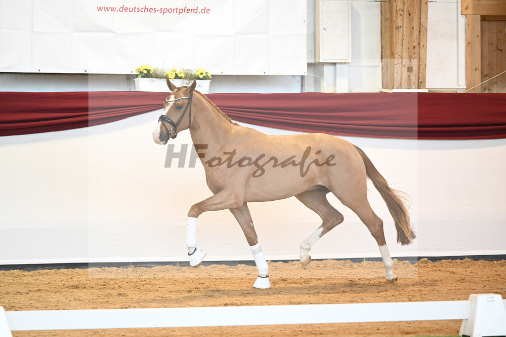 Kat-Nr. 33 v. Fuerst Samarant_Berger_66220379 | hf-fotografie - Realisiert mit Pictrs.com