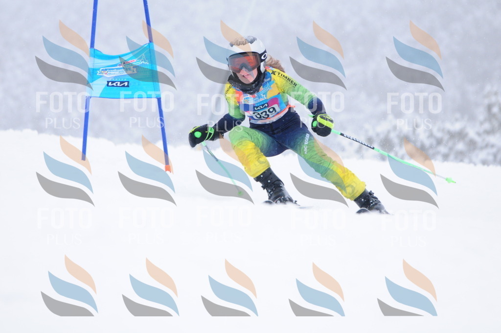 C3631 | holidayphoto