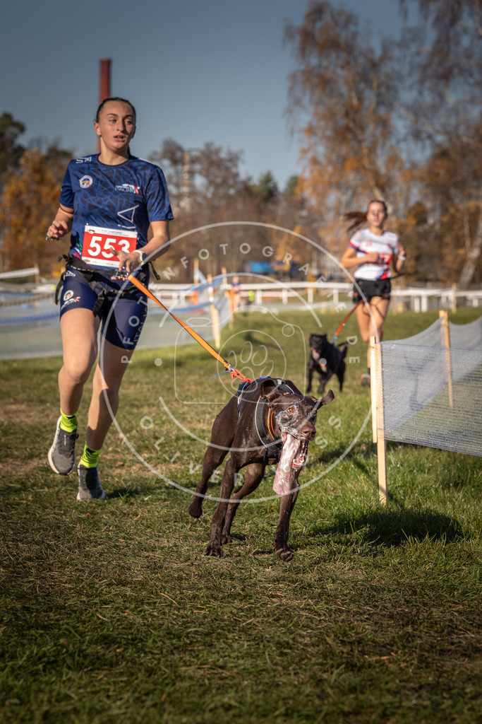 CaniXpix_0L8A7700 | Hundefotografie, Tierfotograf, Pfotenfotografie, Fotoshooting Hund, Hunde Portrait, Hundesport, Hundeportraits, Heideshooting, Hunde, Sportfotograf, Hundefotograf, Turnierhundsport, THS,  - Realisiert mit Pictrs.com