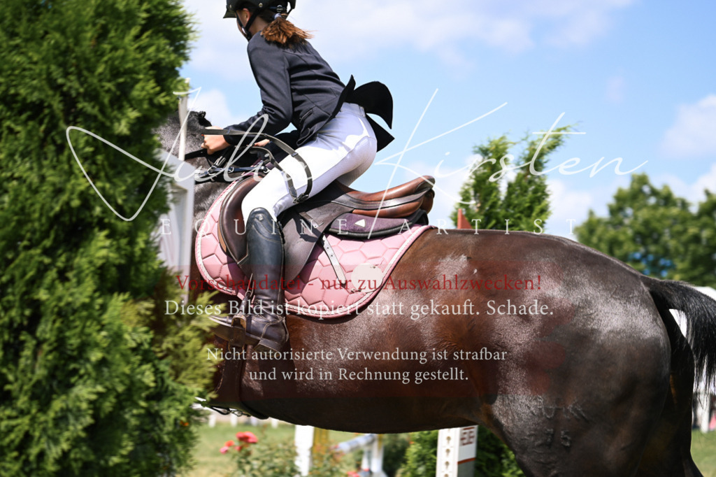 DSC_9368 | Pferde- und Turnierfotografie in Westsachsen. Pferdeportraits, Auftragszeichnungen und intuitive Kunst.
