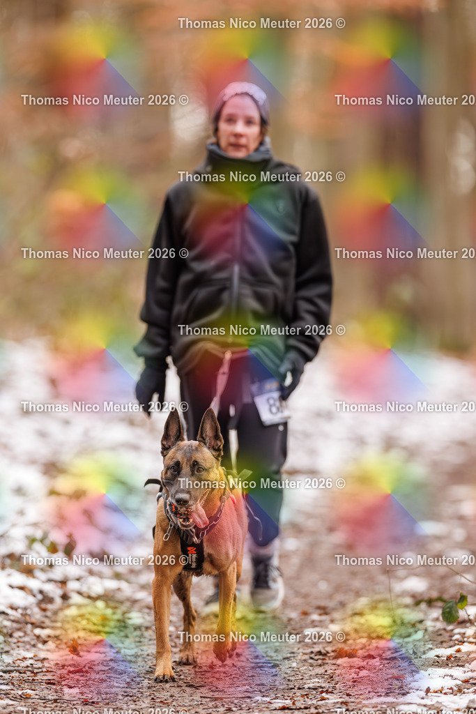 Thomas_Nico_Meuter(C)_223A9341 | Bild von Thomas Nico Meuter - Realisiert mit Pictrs.com