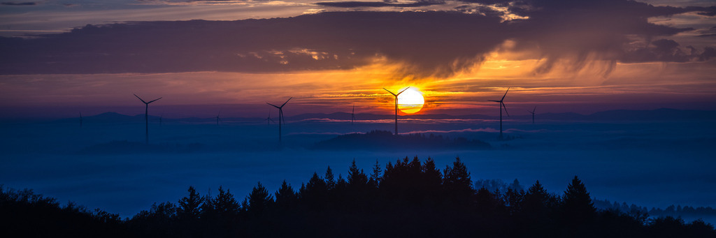 0(3) | <div id="allefotografen-seal-verified-green"></div><script src="https://www.allefotografen.de/956728/seal-verified-green/seal.js" async="async"></script> - Realisiert mit Pictrs.com