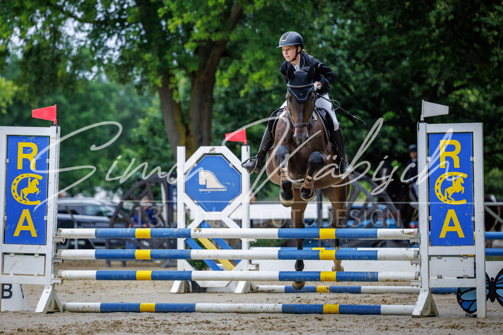 20260705-_3LI3714 | Tierfotografie Pferde, Hunde, Katzen, Haustiere.
Turnierfotografie Reitturniere, Reiten, Springreiten, Dressur in Hanau, dem Main-Kinzig-Kreis und dem Rhein-Main- Gebiet um Frankfurt