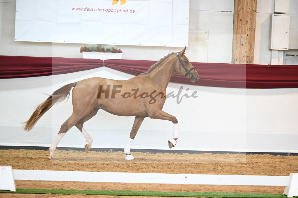 Kat-Nr. 56 v. Vivaldos_Fischer_66220842 | hf-fotografie - Realisiert mit Pictrs.com