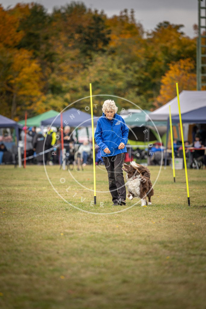 Pfotenfotografie_DV3A6040 | Hundefotografie, Tierfotograf, Pfotenfotografie, Fotoshooting Hund, Hunde Portrait, Hundesport, Hundeportraits, Heideshooting, Hunde, Sportfotograf, Hundefotograf, Turnierhundsport, THS,  - Realisiert mit Pictrs.com