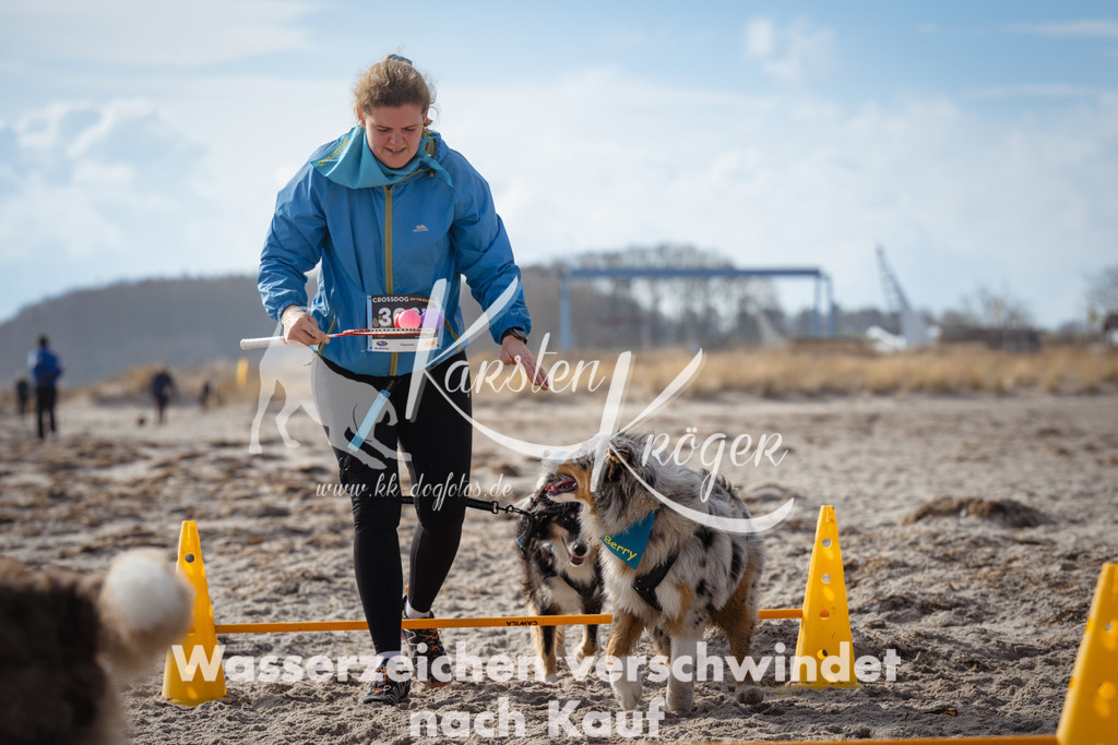 1239_ZZ98000 | kk-dogfotos