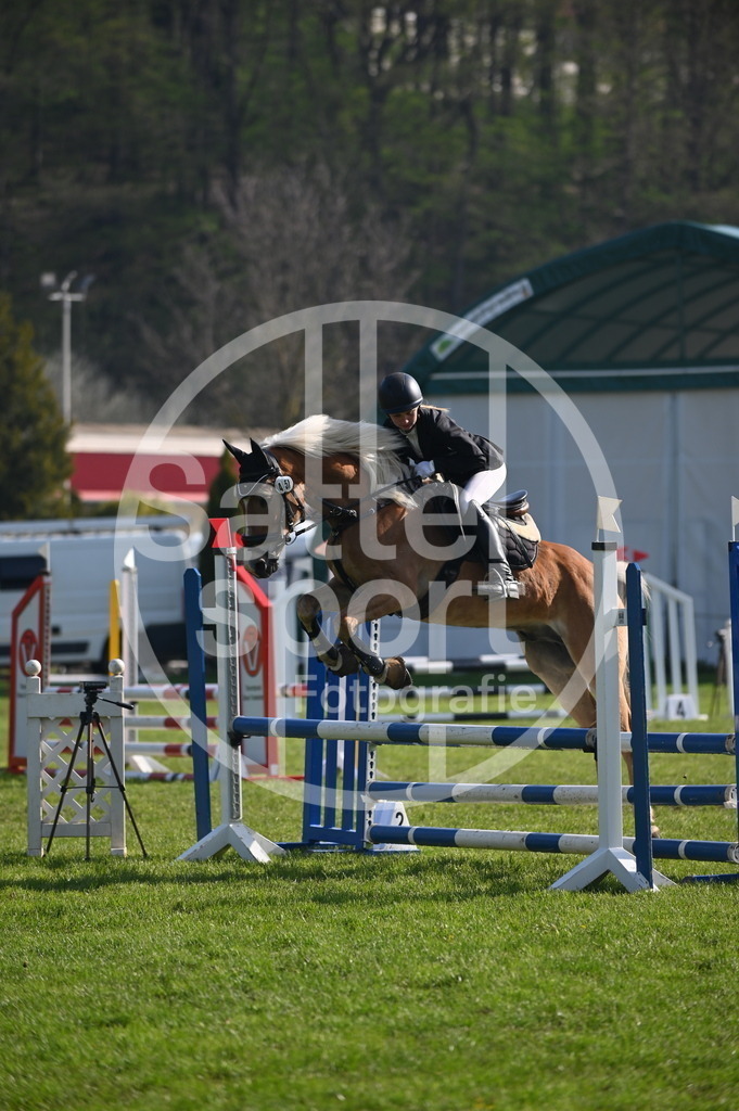 DSC_0067 | sattelsport - Realisiert mit Pictrs.com