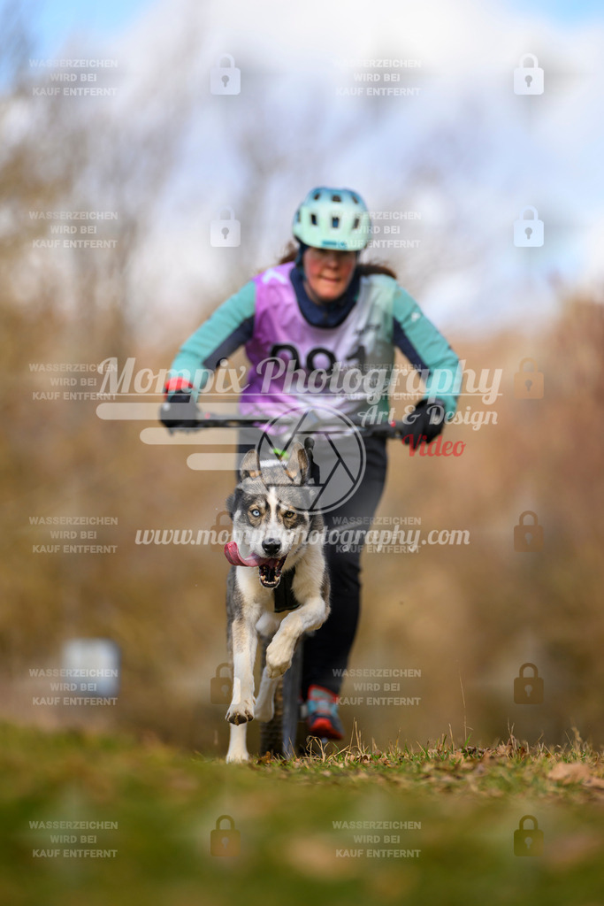MompixPhotography_10Schwabentrail2026_SO_Scooter-125 | PayLife