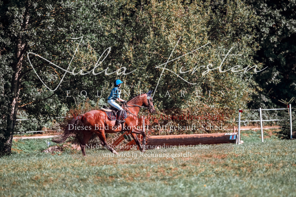 DSC_0818 | Pferde- und Turnierfotografie in Westsachsen. Pferdeportraits, Auftragszeichnungen und intuitive Kunst.