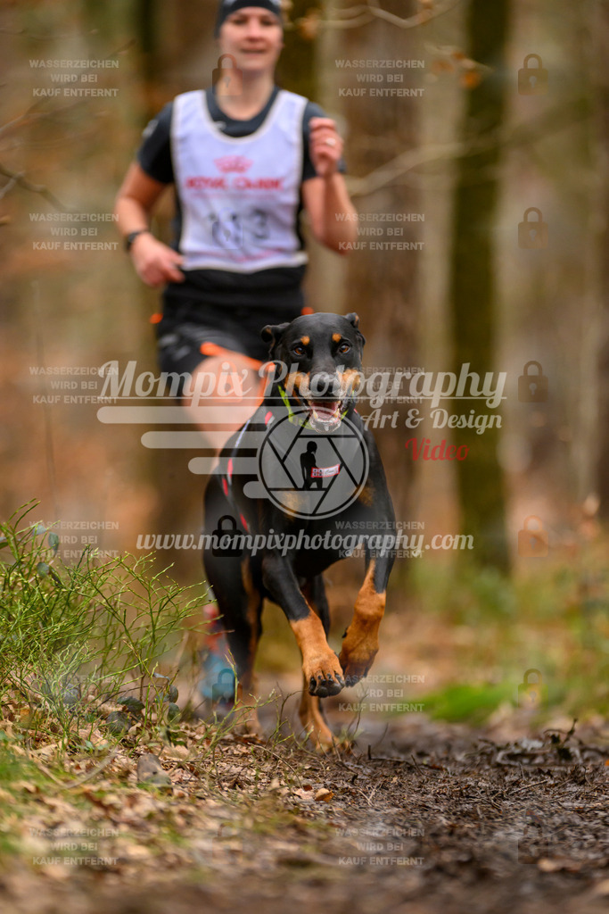 MompixPhotography_CDSM24_SA_Fun-35 | PayLife