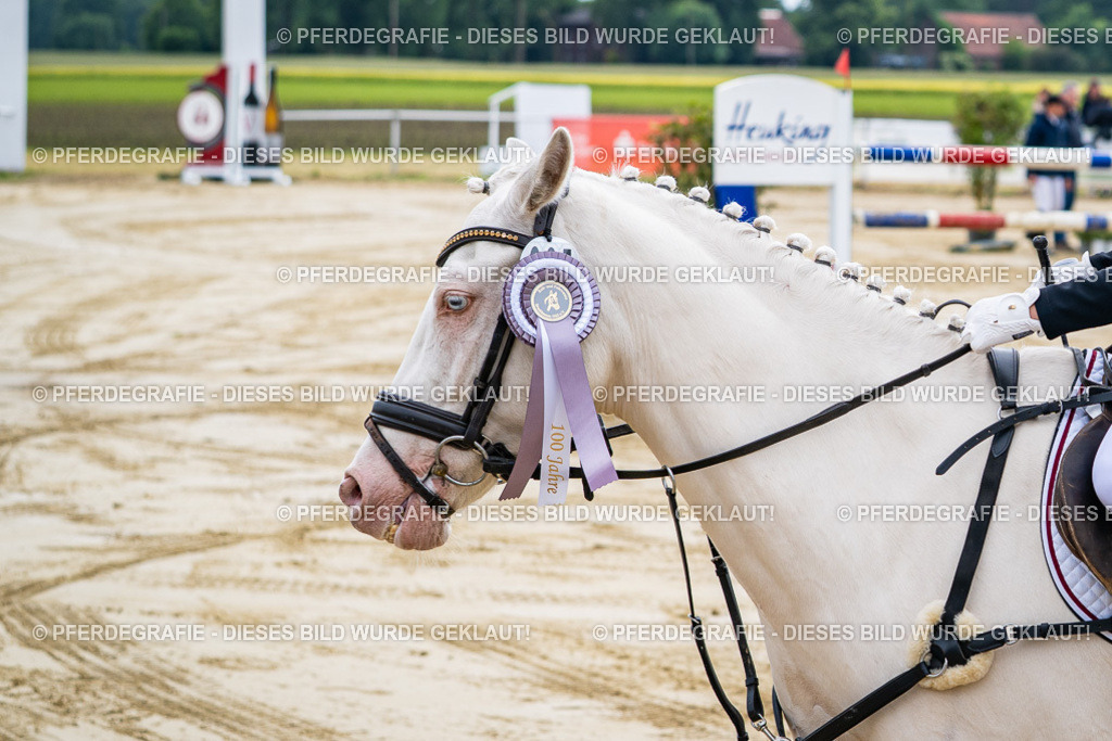 DSC06558 | Pferdegrafie