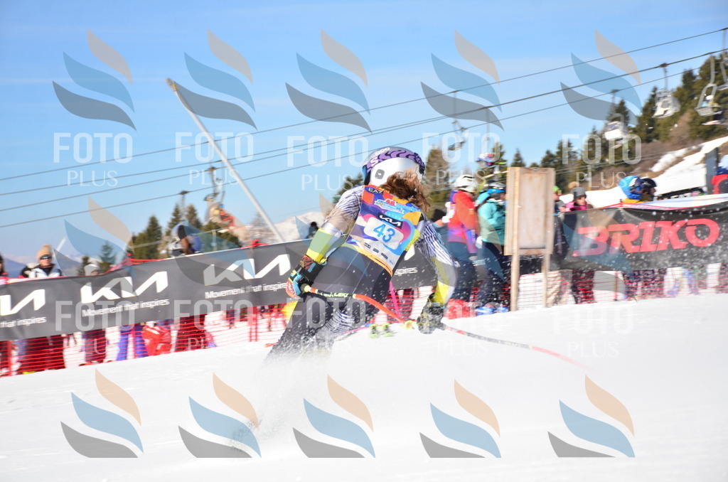 VR4_8696 | holidayphoto