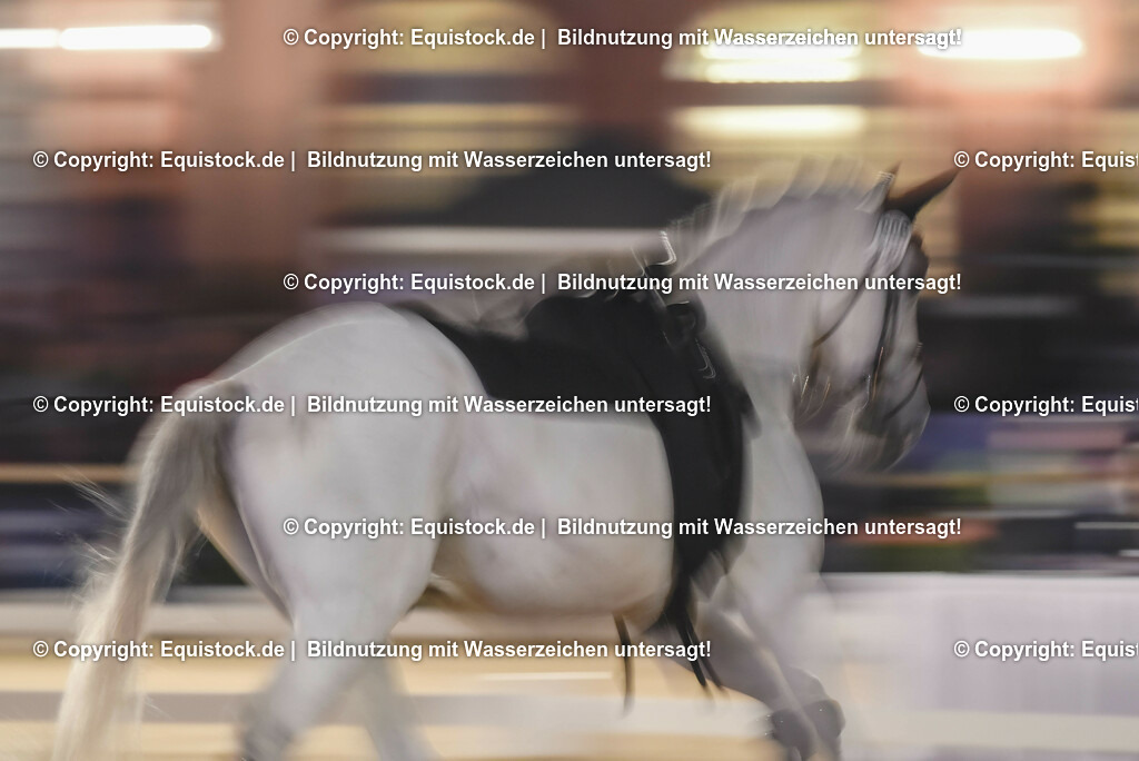 20230527_Voltigieren_NASPA_Flutlicht_0857 | equistock