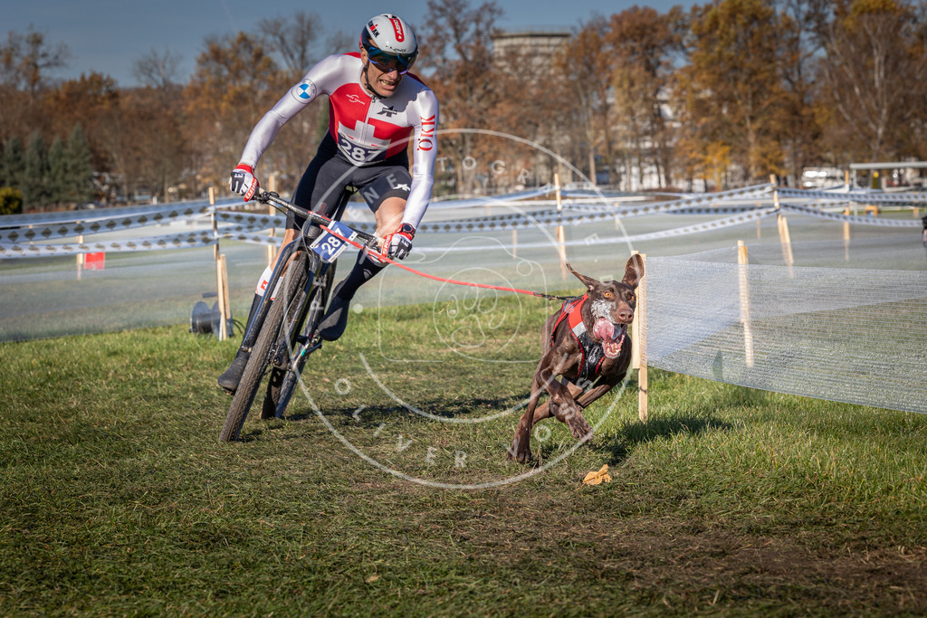 CaniXpix_0L8A5315 | Hundefotografie, Tierfotograf, Pfotenfotografie, Fotoshooting Hund, Hunde Portrait, Hundesport, Hundeportraits, Heideshooting, Hunde, Sportfotograf, Hundefotograf, Turnierhundsport, THS,  - Realisiert mit Pictrs.com