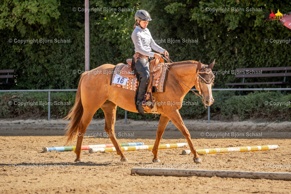 LMS04983 | BS-foto