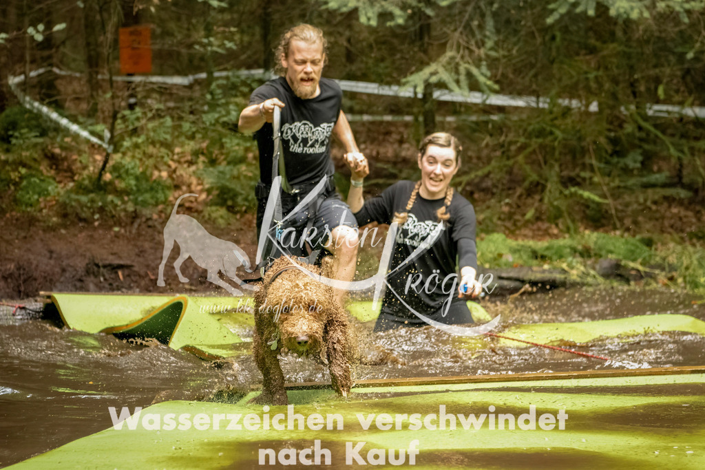 1217_ZZ93650-Bearbeitet | kk-dogfotos