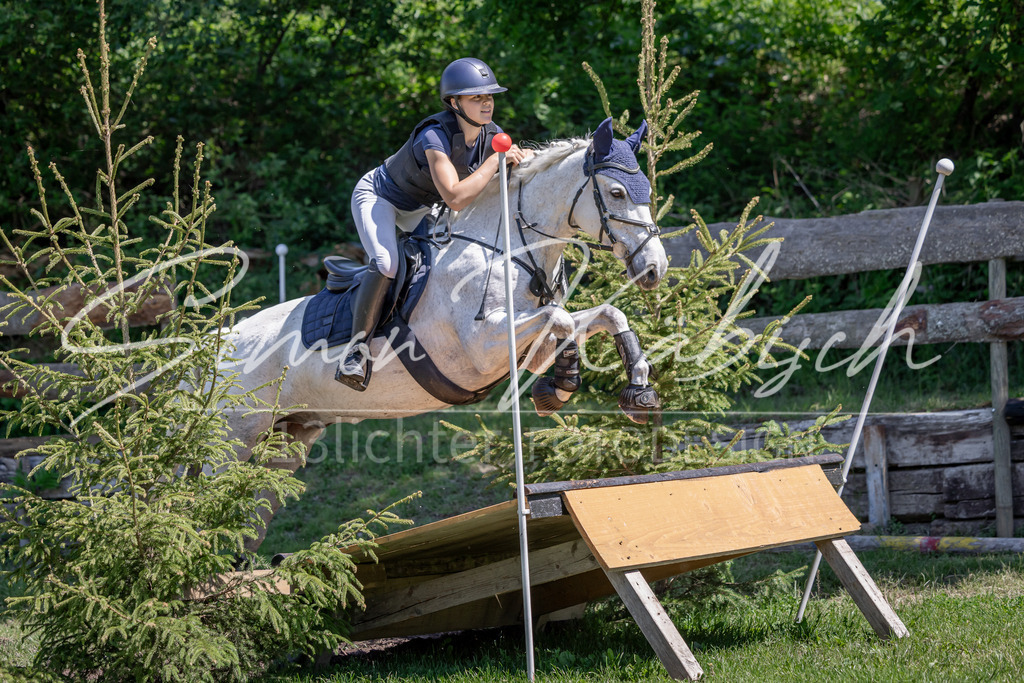 20260523-_3LI8063 | Tierfotografie Pferde, Hunde, Katzen, Haustiere.
Turnierfotografie Reitturniere, Reiten, Springreiten, Dressur in Hanau, dem Main-Kinzig-Kreis und dem Rhein-Main- Gebiet um Frankfurt