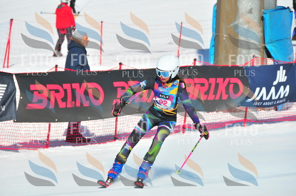 DSC_3947 | holidayphoto