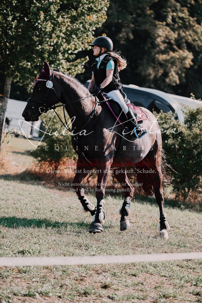 DSC_4976 | Pferde- und Turnierfotografie in Westsachsen. Pferdeportraits, Auftragszeichnungen und intuitive Kunst.