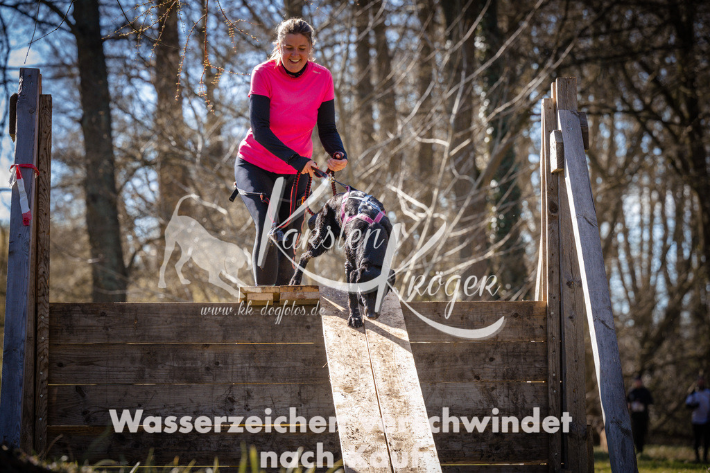 0934_ZZ96154 | kk-dogfotos