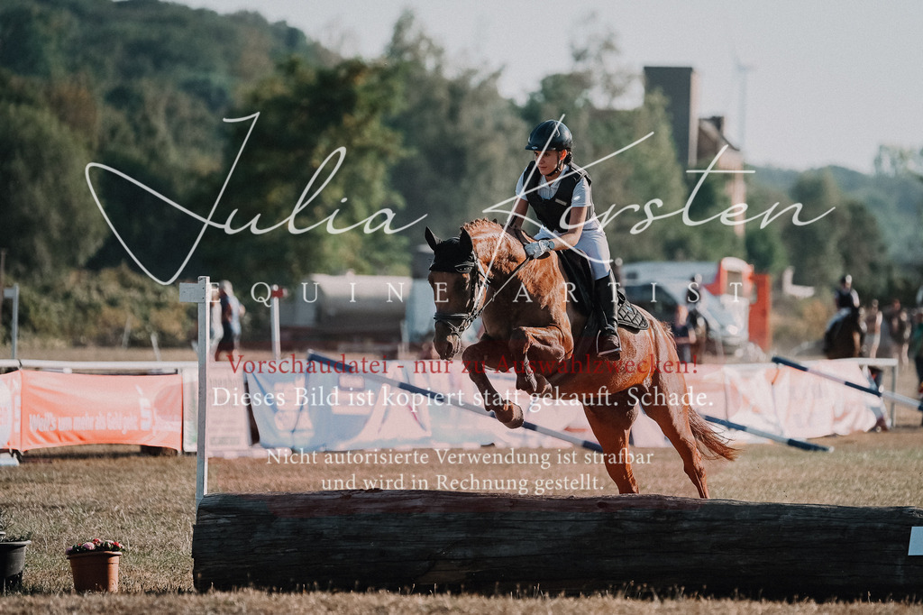 DSC_9043 | Pferde- und Turnierfotografie in Westsachsen. Pferdeportraits, Auftragszeichnungen und intuitive Kunst.