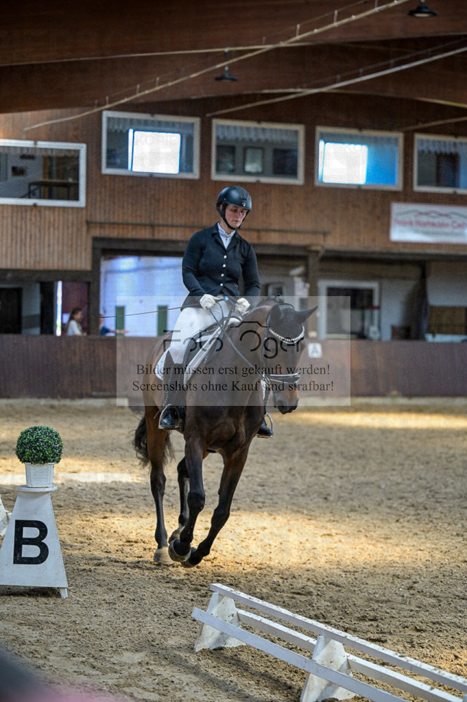 Reitturnier Voxtrup | Entdecke hochwertige Reitturnierfotos von Foto Oger. Professionell, emotional und authentisch – jetzt Lieblingsmomente im Shop bestellen.Deutschlandweite Turnierfotografie. - Realisiert mit Pictrs.com