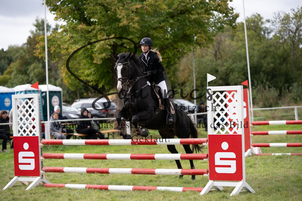 A7V06704 | Pferdefotograf