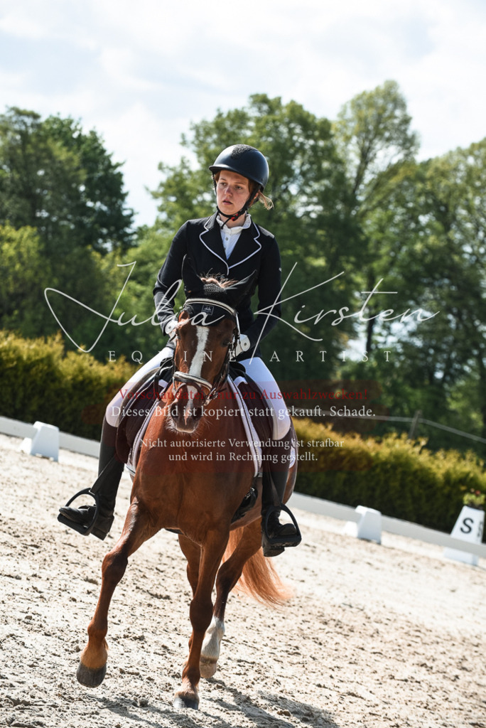 20230518_JK-Röhrsdorf-09-1552 | Pferde- und Turnierfotografie in Westsachsen. Pferdeportraits, Auftragszeichnungen und intuitive Kunst.
