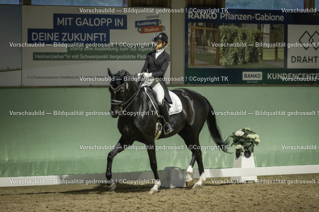 _D5A7349 | Emotionale Pferde- & People-Fotografie rund um Heidelberg, Leimen & Umgebung. Natürliche Fotos von Pferd, Mensch & Familie. Jetzt Termin sichern!