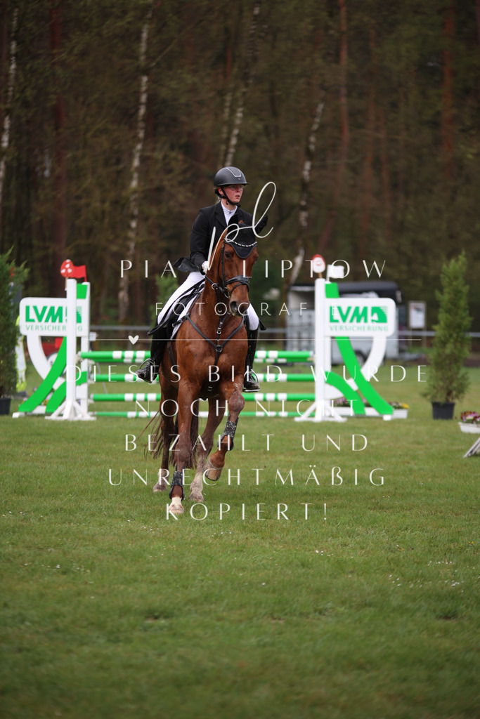 IMGT2457 | pl-fotografie