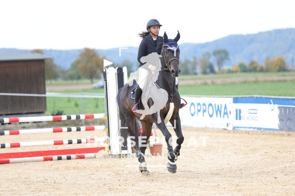0P6A9408 | Willkommen bei Brunnmayr - Design & Fotografie – Ihrem Spezialisten für Reitturniere und Pferdeveranstaltungen in Oberösterreich, Salzburg und Bayern! Seit über 17 Jahren sind wir leidenschaftlich dabei.