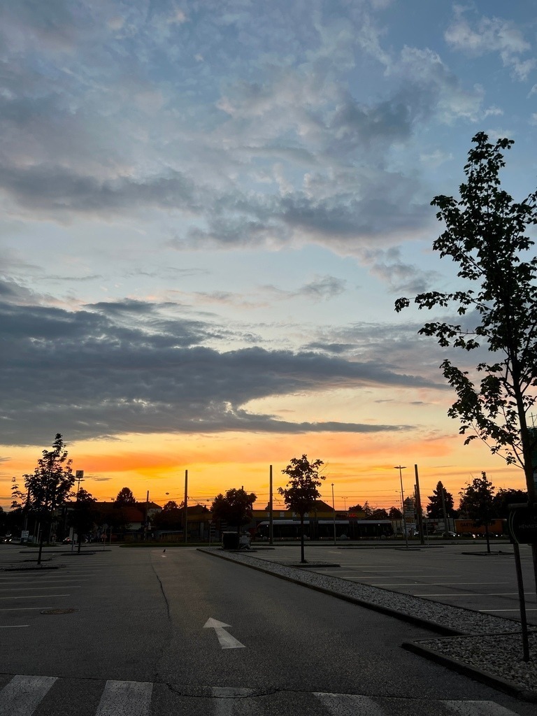 IMG_8029 | ace - Realisiert mit Pictrs.com