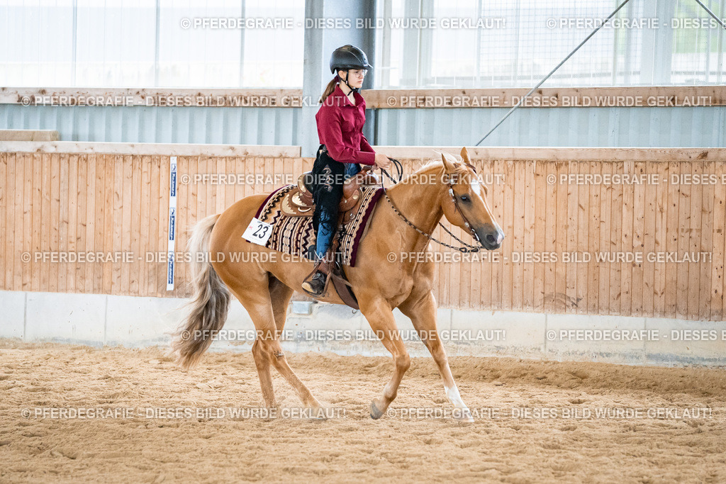 DSC01252 | Pferdegrafie