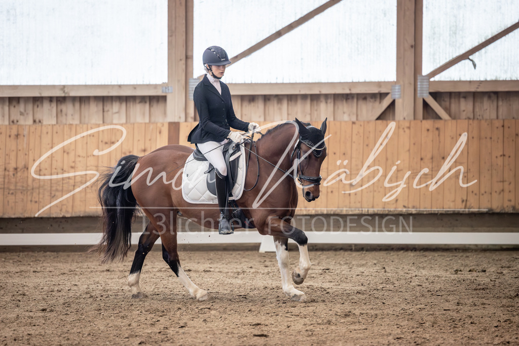 20251011-_3LI0454 | Tierfotografie Pferde, Hunde, Katzen, Haustiere.
Turnierfotografie Reitturniere, Reiten, Springreiten, Dressur in Hanau, dem Main-Kinzig-Kreis und dem Rhein-Main- Gebiet um Frankfurt