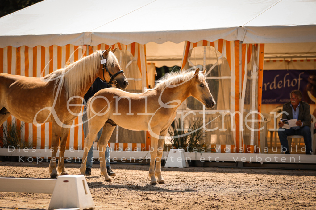 06.DoH00013 | Leoni Ertmer Photography - Realisiert mit Pictrs.com