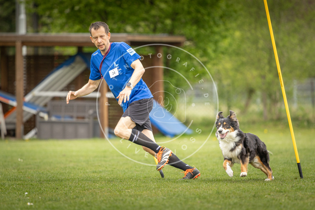 Pfotenfotografie_DV3A0168 | Hundefotografie, Tierfotograf, Pfotenfotografie, Fotoshooting Hund, Hunde Portrait, Hundesport, Hundeportraits, Heideshooting, Hunde, Sportfotograf, Hundefotograf, Turnierhundsport, THS,  - Realisiert mit Pictrs.com