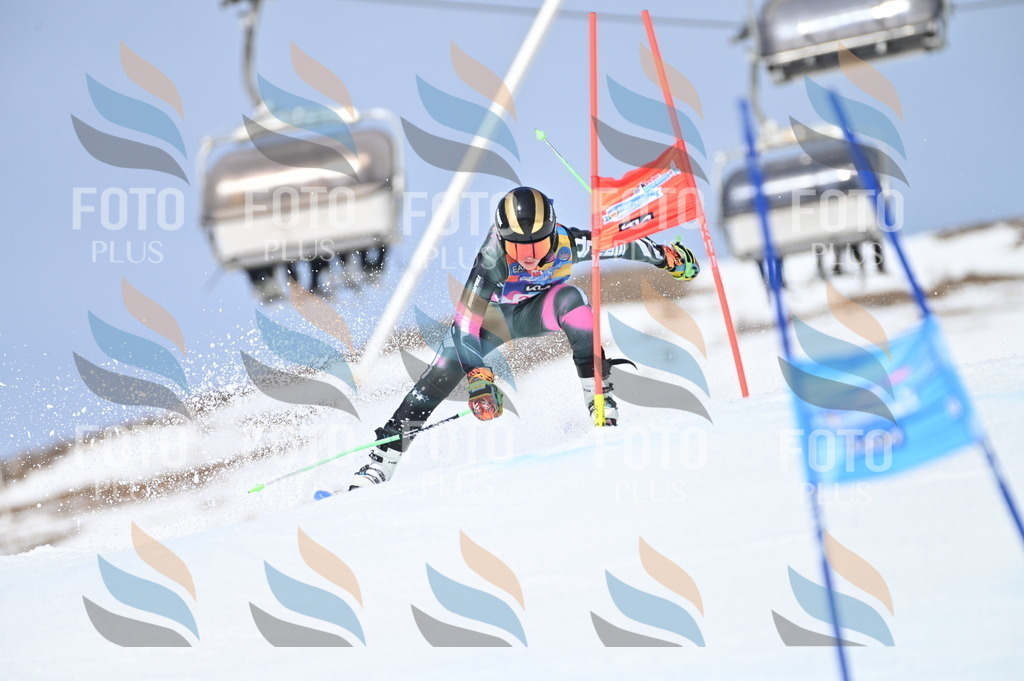 BGV_3421 | holidayphoto