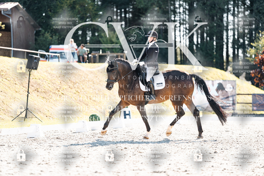 CK905915 | Turnierfotografie Pferdefotografie Trier Rheinland-Pfalz Pferdesport Reitsport Tierfotografie Sportfotografie Pferdevideo Pferdevideografie Equestrianvideography equestrianphotography  - Realisiert mit Pictrs.com