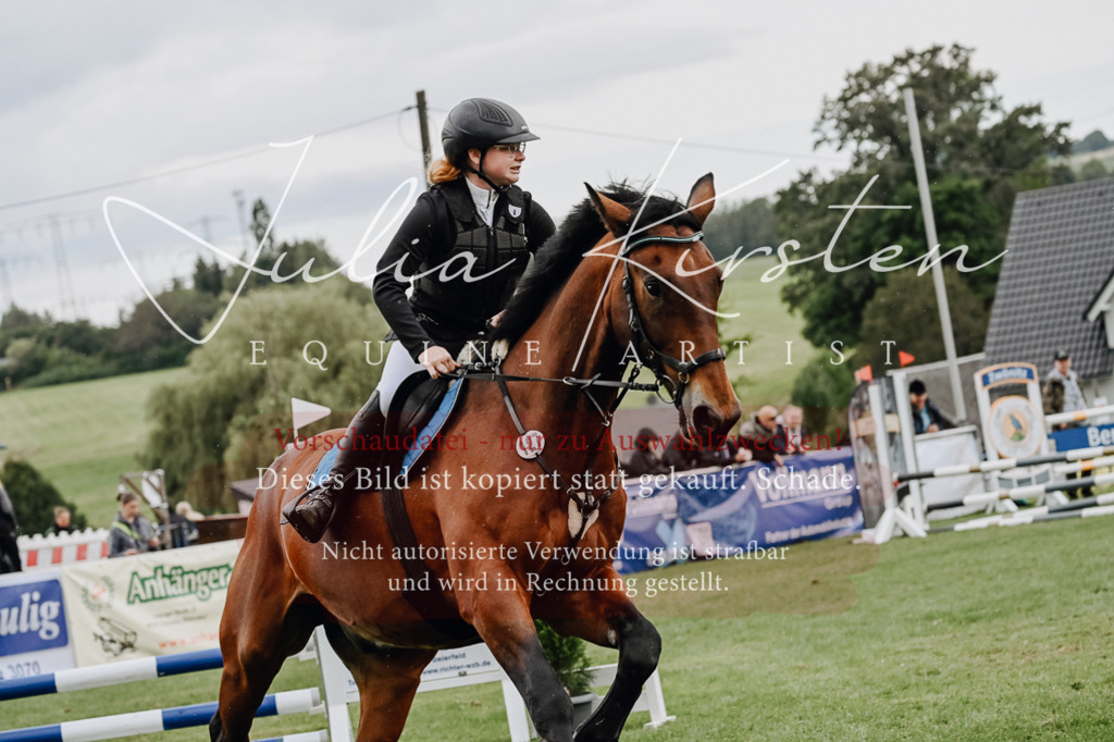 DSC_6870 | Pferde- und Turnierfotografie in Westsachsen. Pferdeportraits, Auftragszeichnungen und intuitive Kunst.