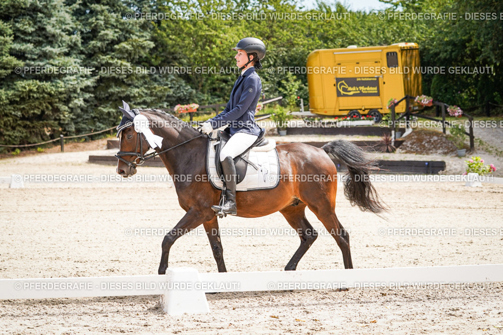 DSC02679 | Pferdegrafie