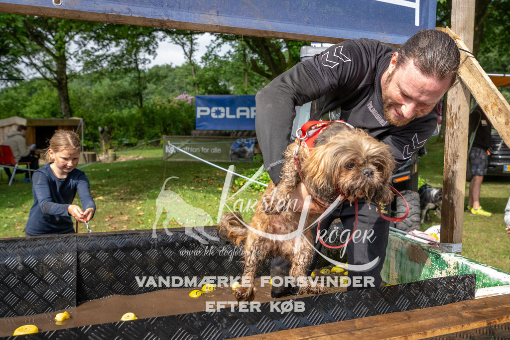 0907_ZZ93597 | kk-dogfotos