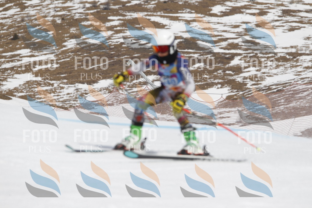 _U3G2851 | holidayphoto