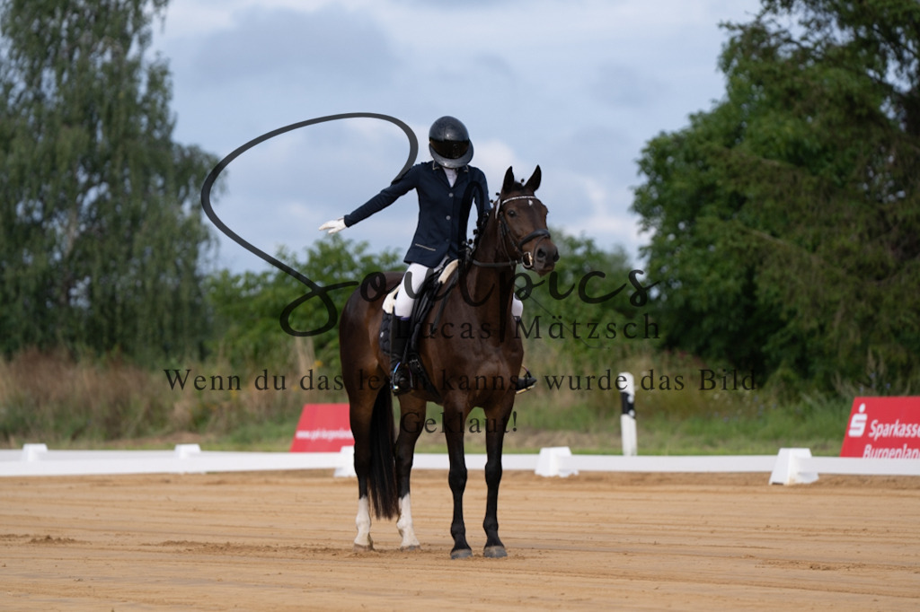 A7V05069 | Pferdefotograf