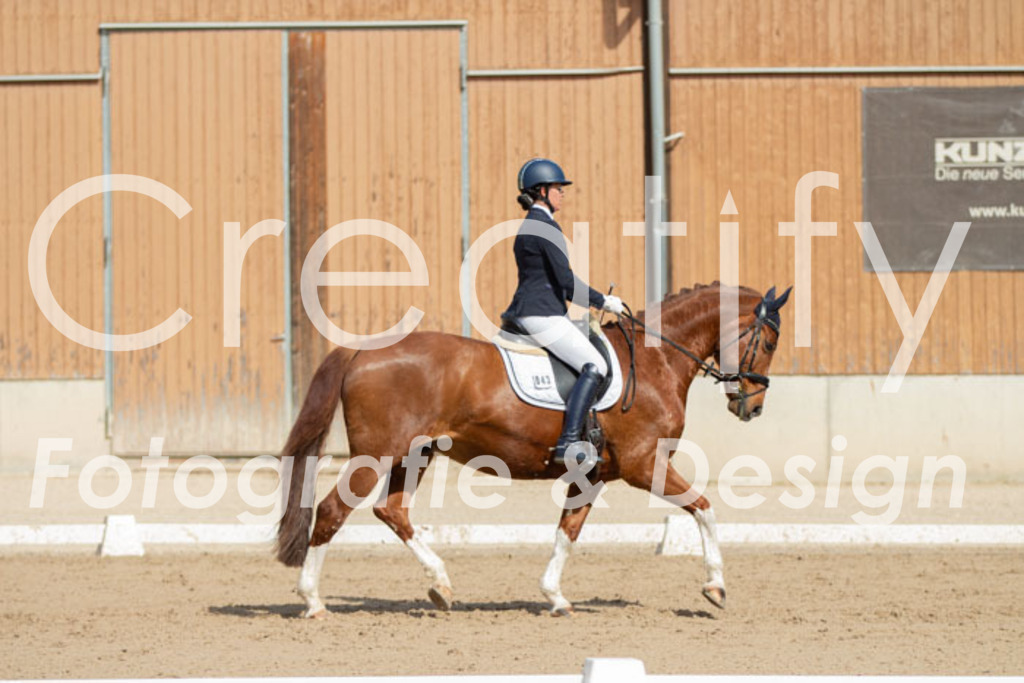 IMG_3999 | Creatify Fotografie